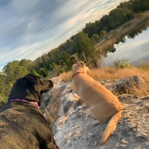 Meet your Posher, Alexis